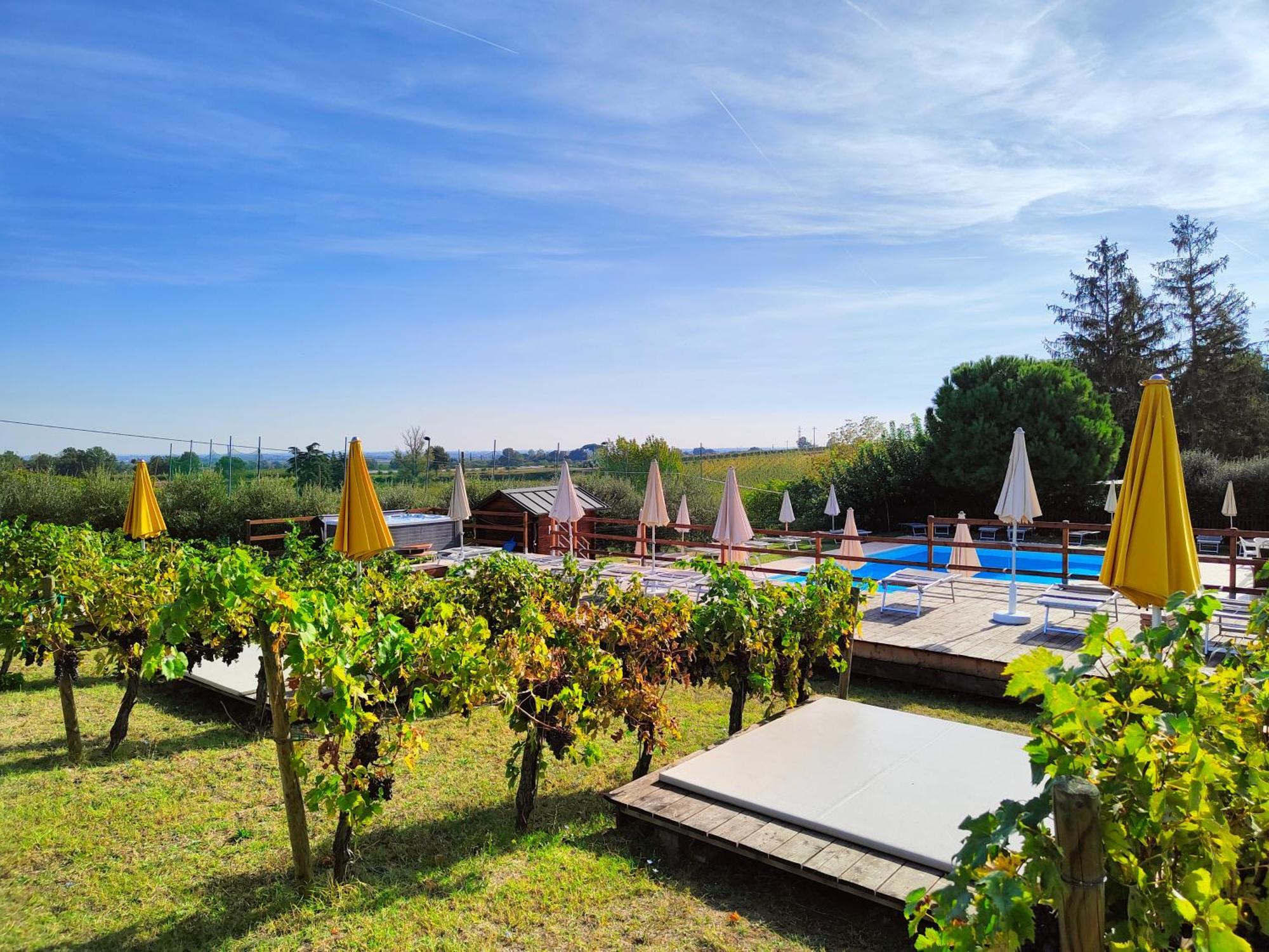 Agriturismo E Cantina La Sabbiona 파엔차 외부 사진