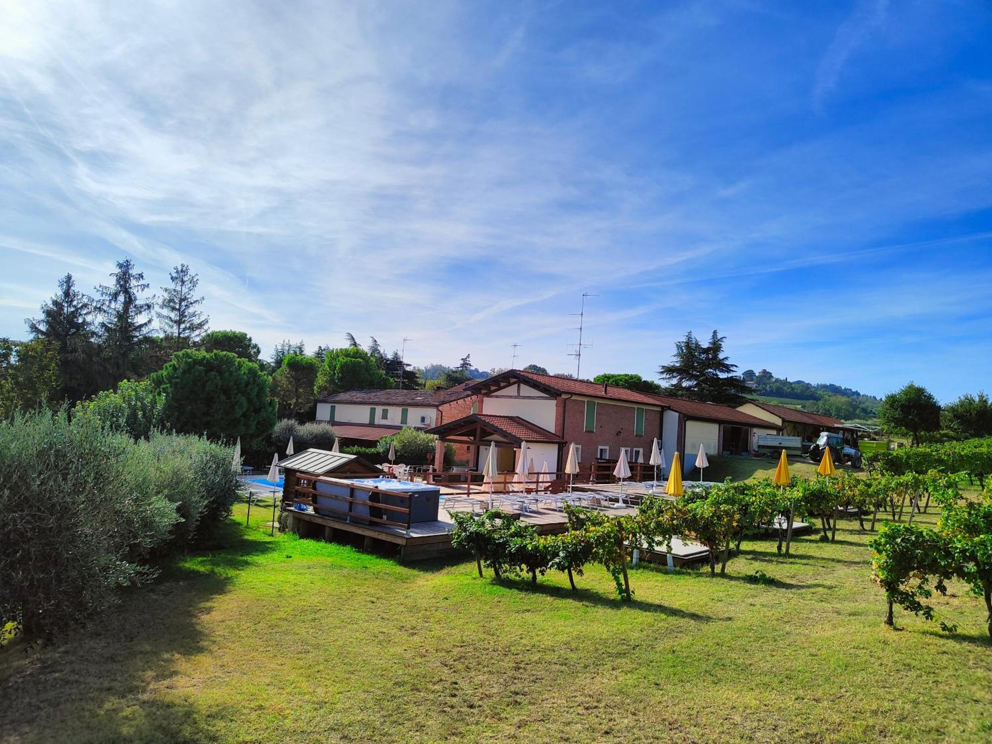Agriturismo E Cantina La Sabbiona 파엔차 외부 사진